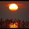 20080126_031
